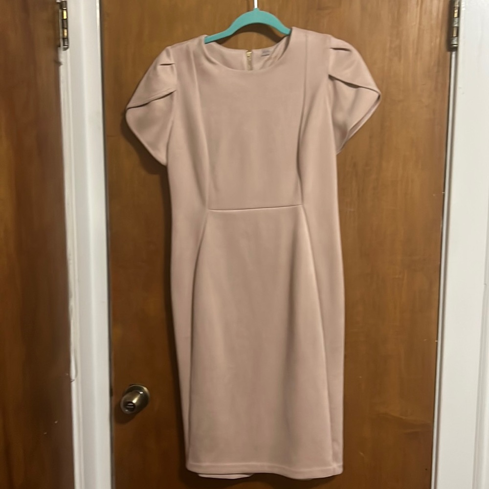 Calvin Klein Ruffle Sleeve Sheath Dress Petal Pink  8